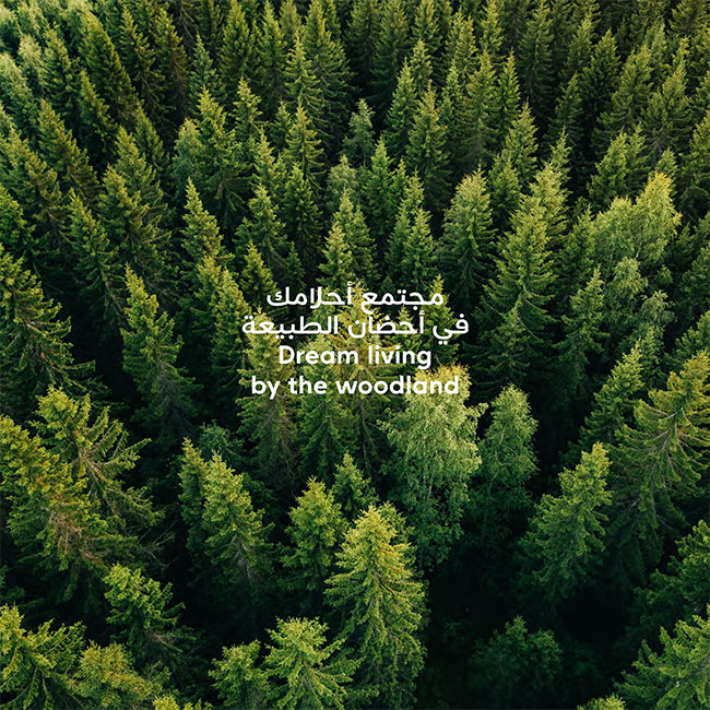 Amenities and Features